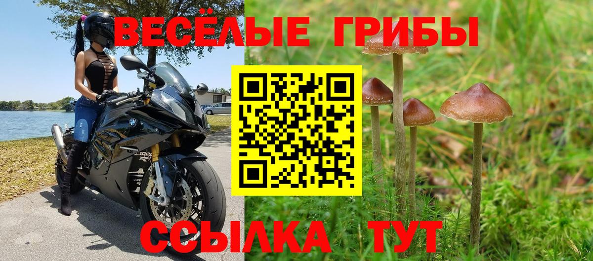 Дубна  Псилоцибиновые грибы мицелий  Псилоцибиновые грибы Psilocybine cubensis  Вход с VPN 