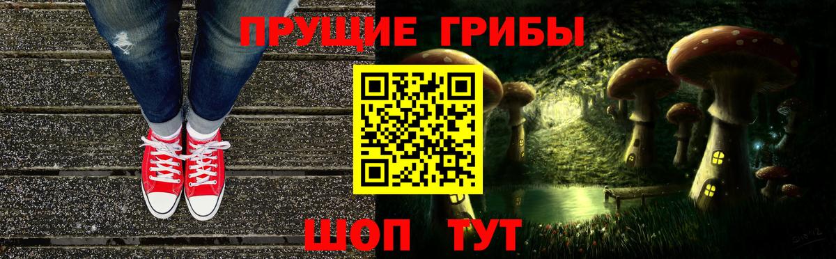 APVP Дубна